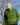Masters Hoodie