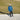 Alby Hoodie by Eynstyn Athletics Blue