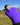 Transfusion Vibes Hoodie by Eynstyn Athletics Purple